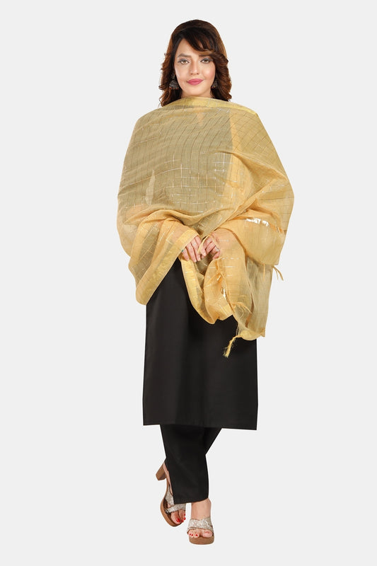 Fabme Women's Full Size, Georgette Golden Checks, Dupatta
