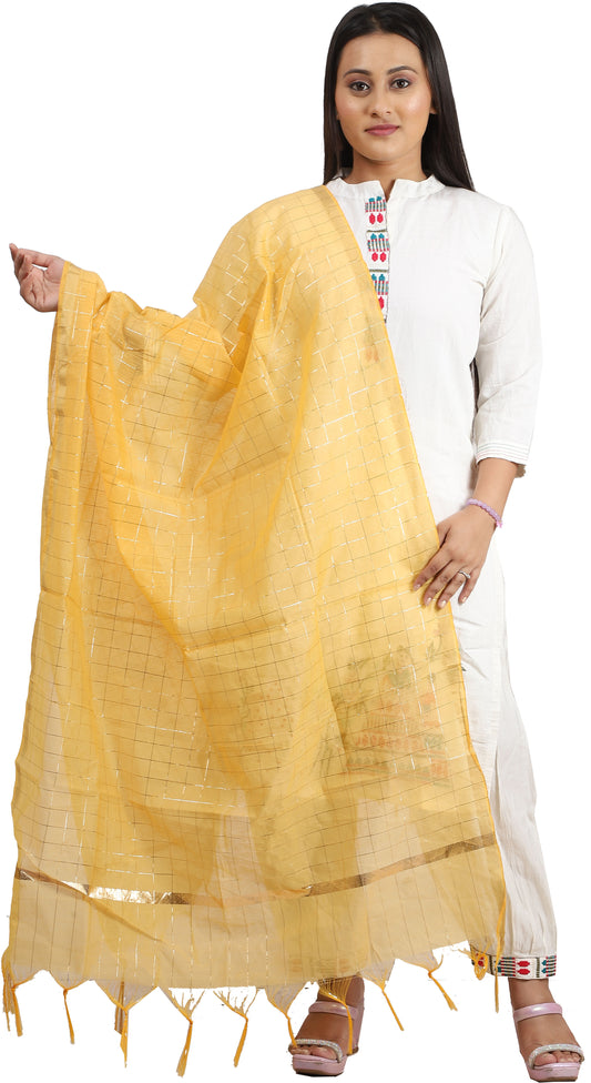 Fabme Women's Full Size, Georgette Golden Checks, Dupatta
