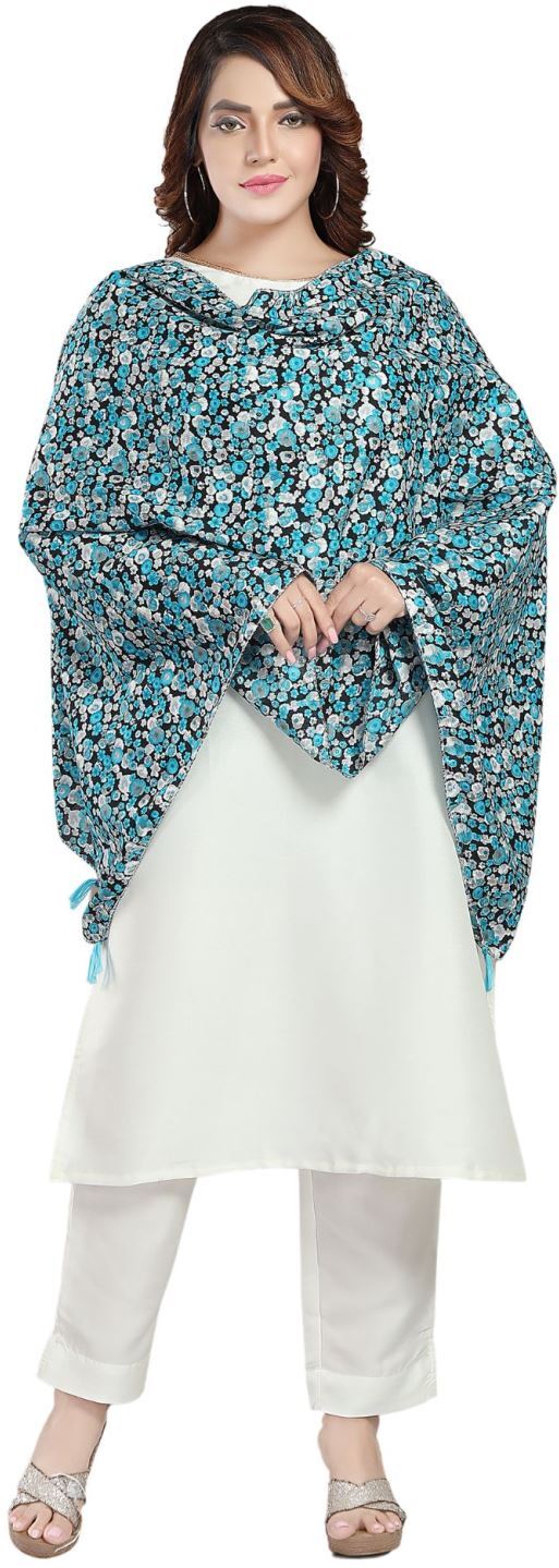 Fabme Women's Big Size  Georgette MultiPurpose, Stole